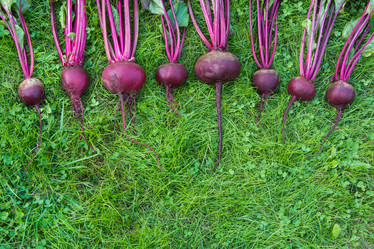 Similar image 17816059