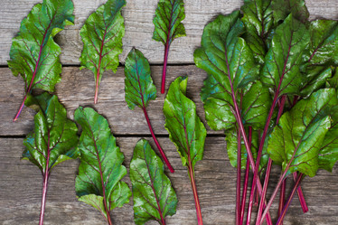 Similar image 17816062