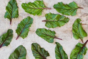 Similar image 17816063