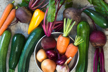 Similar image 17816066