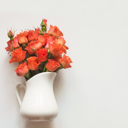 Similar image 17816142