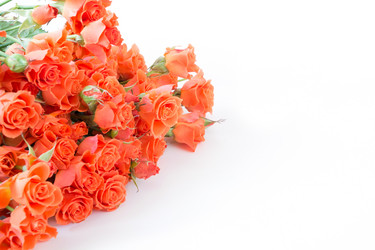 Similar image 17816229