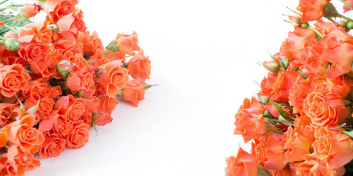 Similar image 17816251