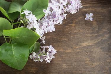 Similar image 17816153