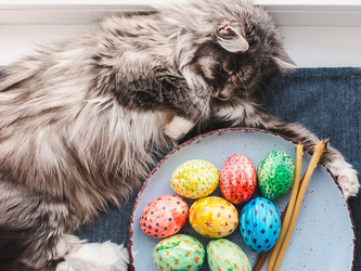 Similar image 18511157