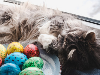 Similar image 18511195