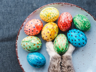 Similar image 18511205