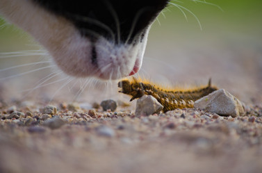 Similar image 17815375