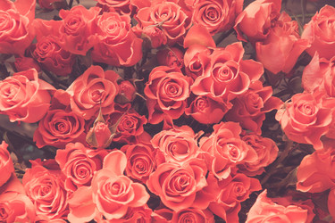 Similar image 17816165