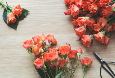 Similar image 17816205