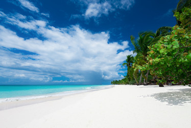 Similar image 18137045