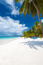 Similar image 18136911