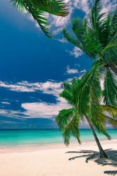 Similar image 18136915