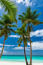 Similar image 18136927