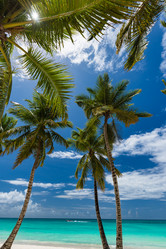 Similar image 18136933