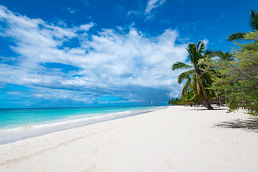 Similar image 18136935