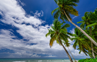 Similar image 18136941