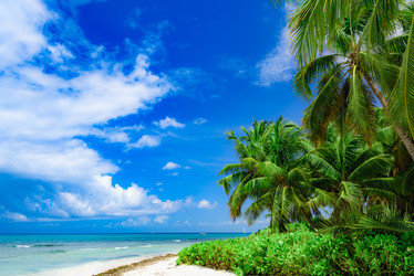 Similar image 18136942