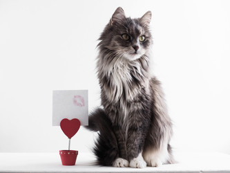 Similar image 18511118