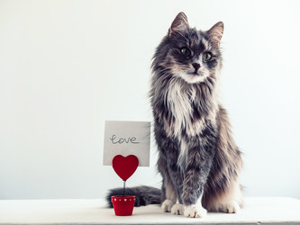 Similar image 18511127