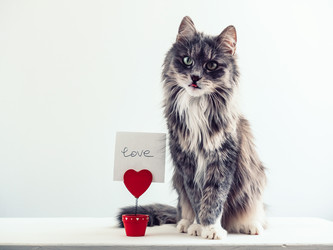 Similar image 18511128