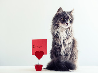 Similar image 18511129