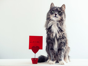 Similar image 18511130