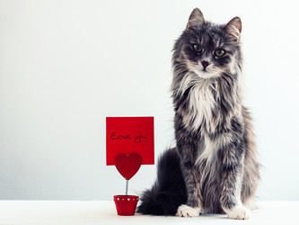 Similar image 18511131