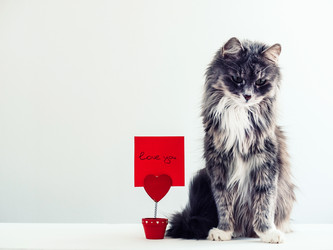 Similar image 18511132