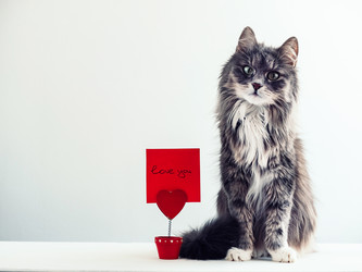 Similar image 18511133