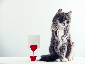 Similar image 18511139