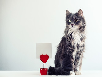 Similar image 18511140