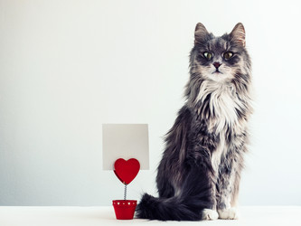 Similar image 18511142