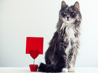 Similar image 18511143