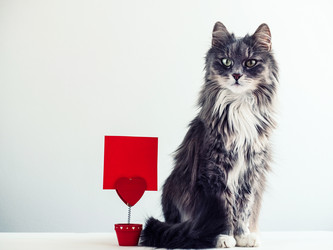 Similar image 18511144