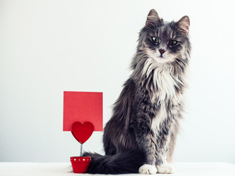 Similar image 18511146