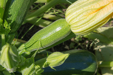 Similar image 17816209