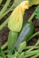 Similar image 17816241