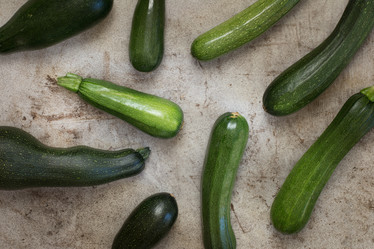 Similar image 17816275