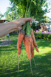 Similar image 17816234