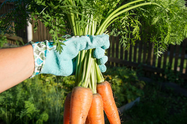 Similar image 17816244