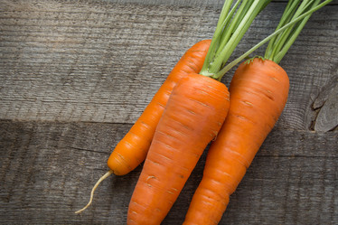 Similar image 17816156