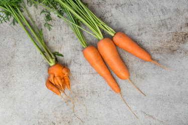 Similar image 17816170