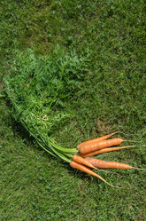 Similar image 17816176