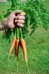 Similar image 17816183