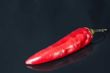 Similar image 17816265