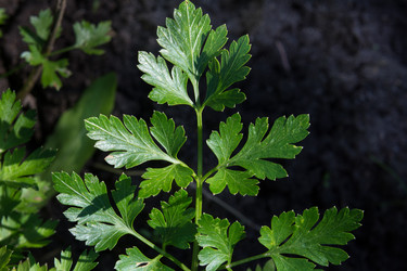 Similar image 17816216