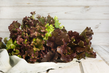 Similar image 17816225