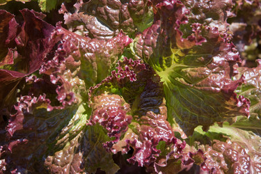 Similar image 17816283