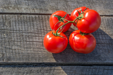 Similar image 17816226